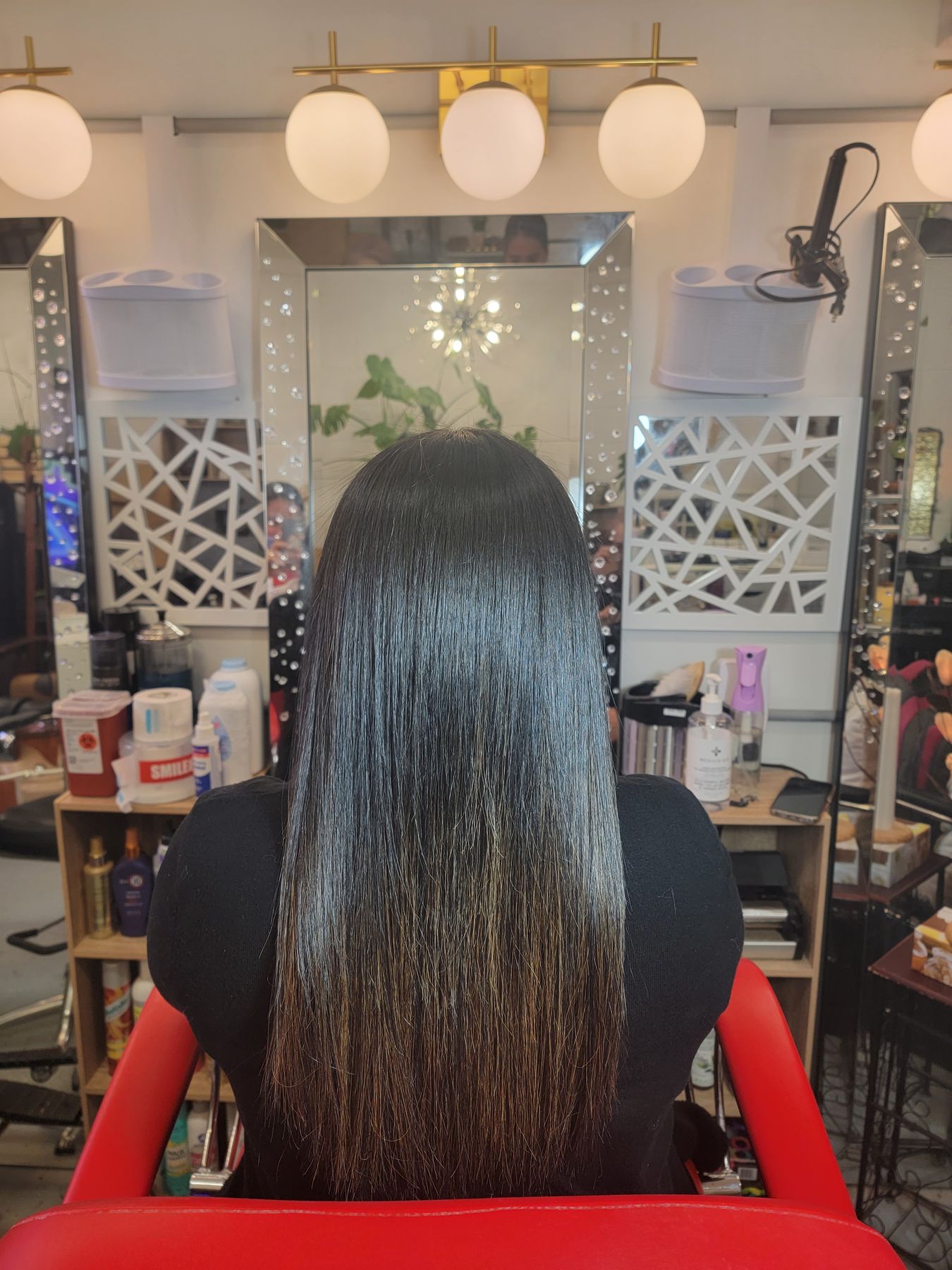 Long, glass-smooth dark hair photographed from behind